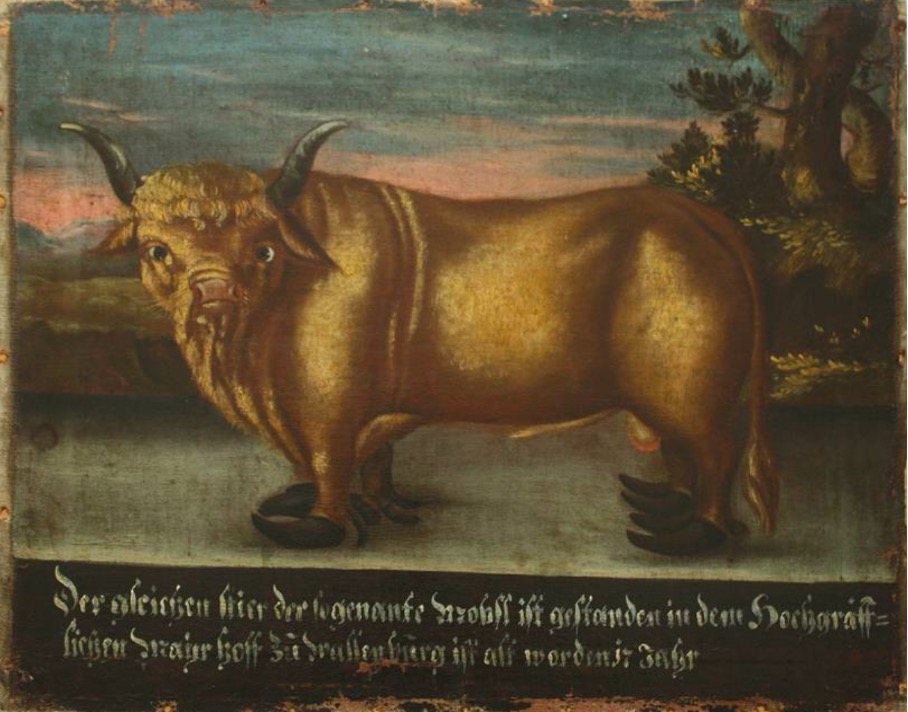 Der Zuchtstier "Mobsl" - ein Ölgemälde aus der Zeit um das Jahr 1700.